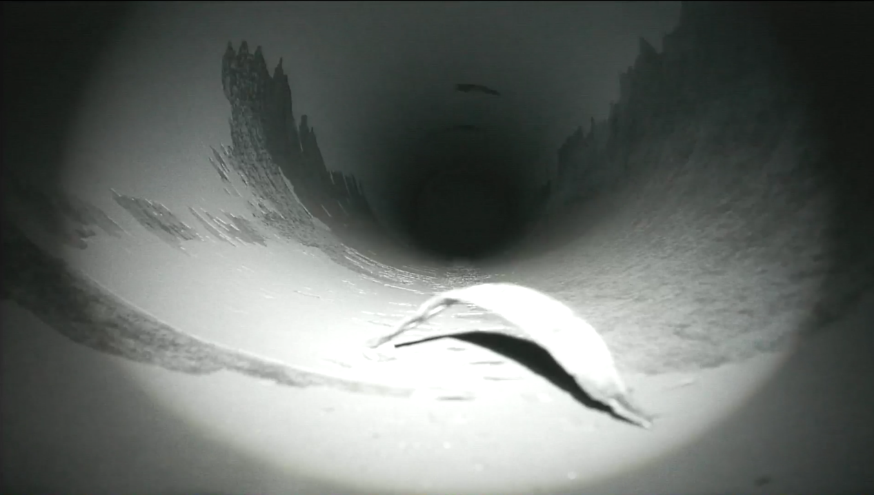 磁力爬行機器人檢測效果